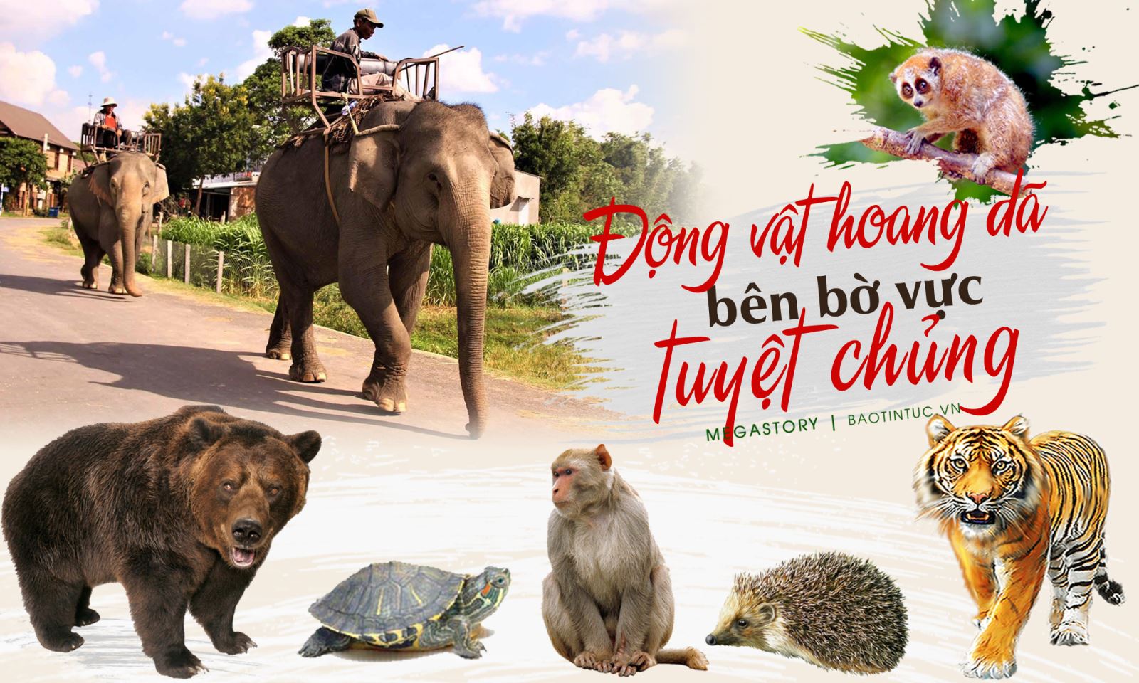Hình nguy cơ tuyệt chủng